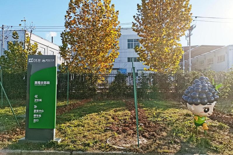 線路一:親子游研學路線(90min)