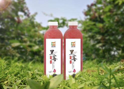 黑莓果肉飲料1L*4瓶/箱