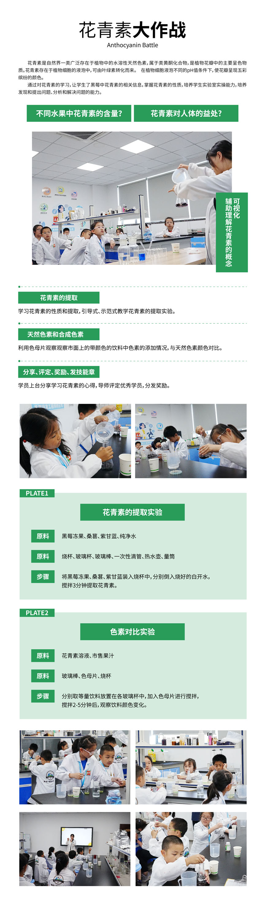 花青素大作戰.jpg