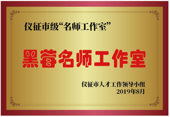 儀征市級黑莓名師工作室.png